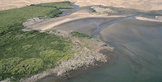 Resultado de imagen para laguna ojo de liebre