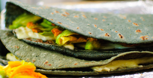 Receta De Quesadillas De Flor De Calabaza | México Desconocido