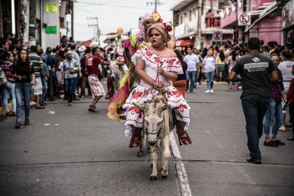 El Encierro del Burro una tradición sui géneris en Alvarado Veracruz