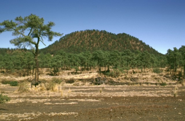 Por qué Barranca del Muerto se llama así Conoce su fantasmagórica