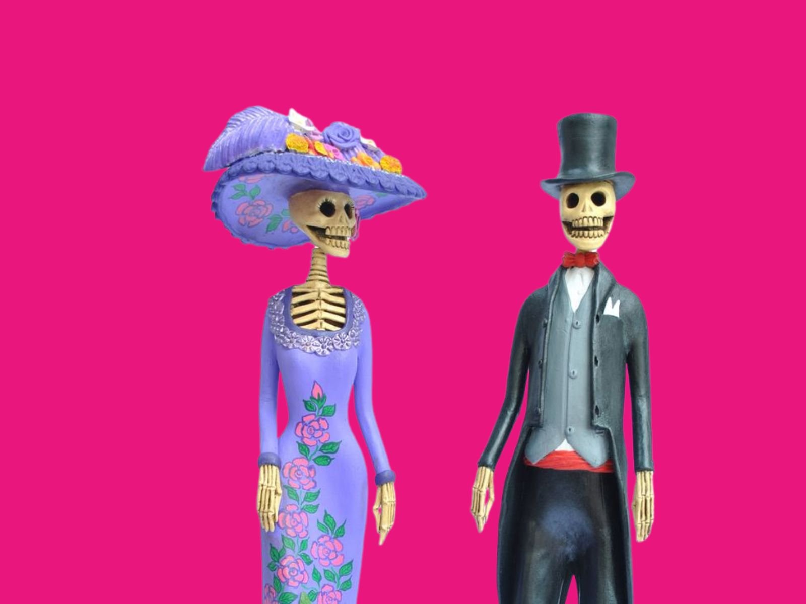 Catr N El Fiel Acompa Ante De La Catrina En La Eternidad Y La Fiesta