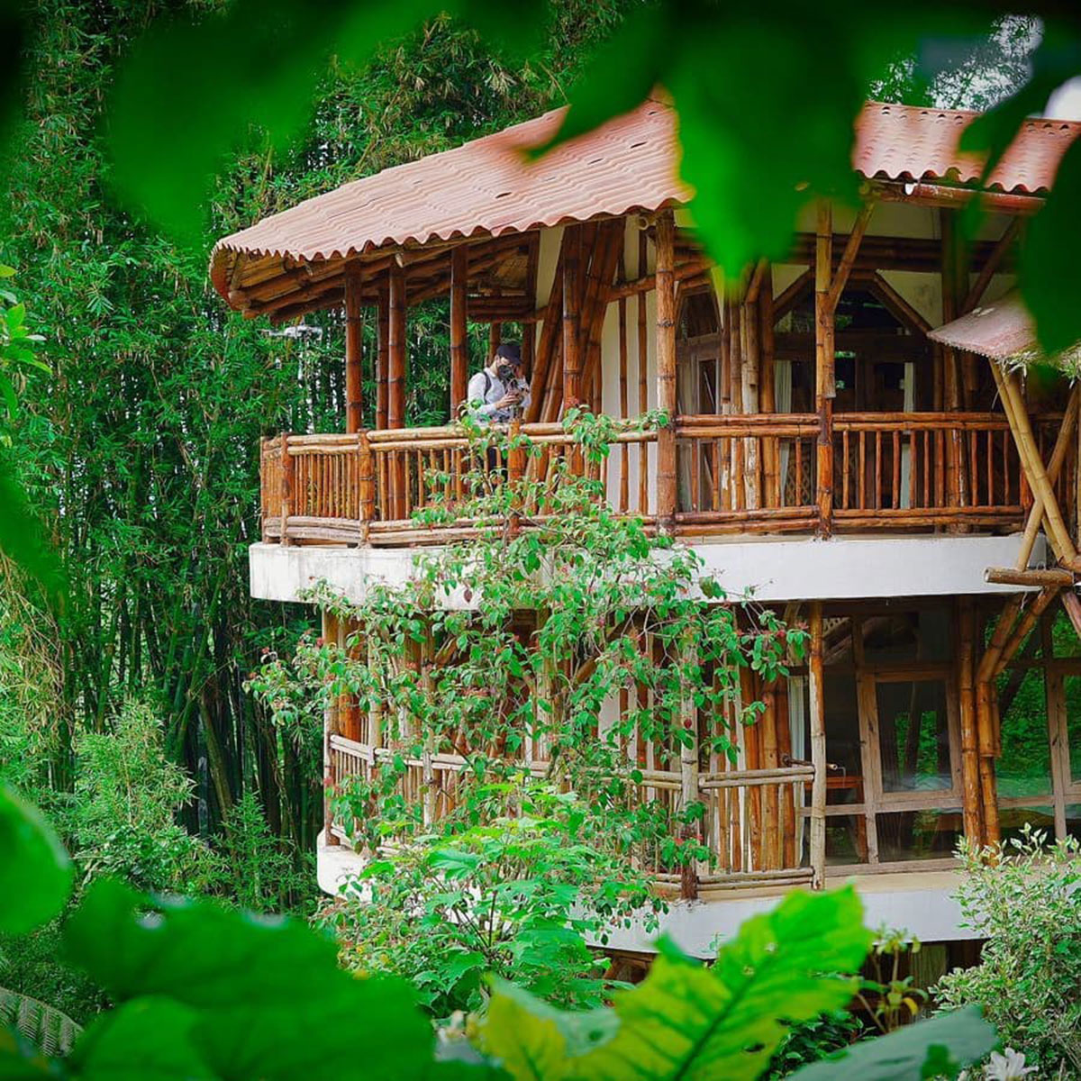 Ecoturismo en Cuetzalan: cabañas de bambú en medio de la sierra - México  Desconocido