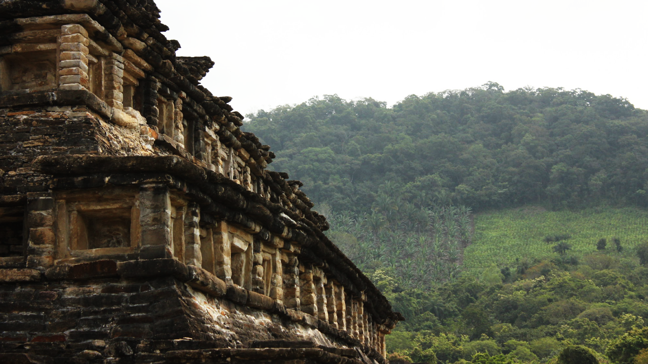 El Tajín Lo Que Debes Saber Antes De Visitar Esta Zona Arqueológica México Desconocido 5372