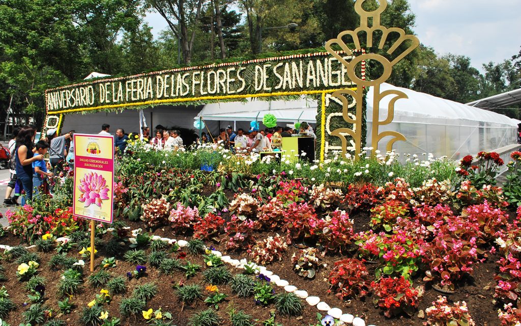 Date una vuelta por la Feria de las Flores en San Ángel México