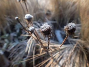 Cae La Primera Nevada En El Cofre De Perote: ¡FOTOS! - México Desconocido