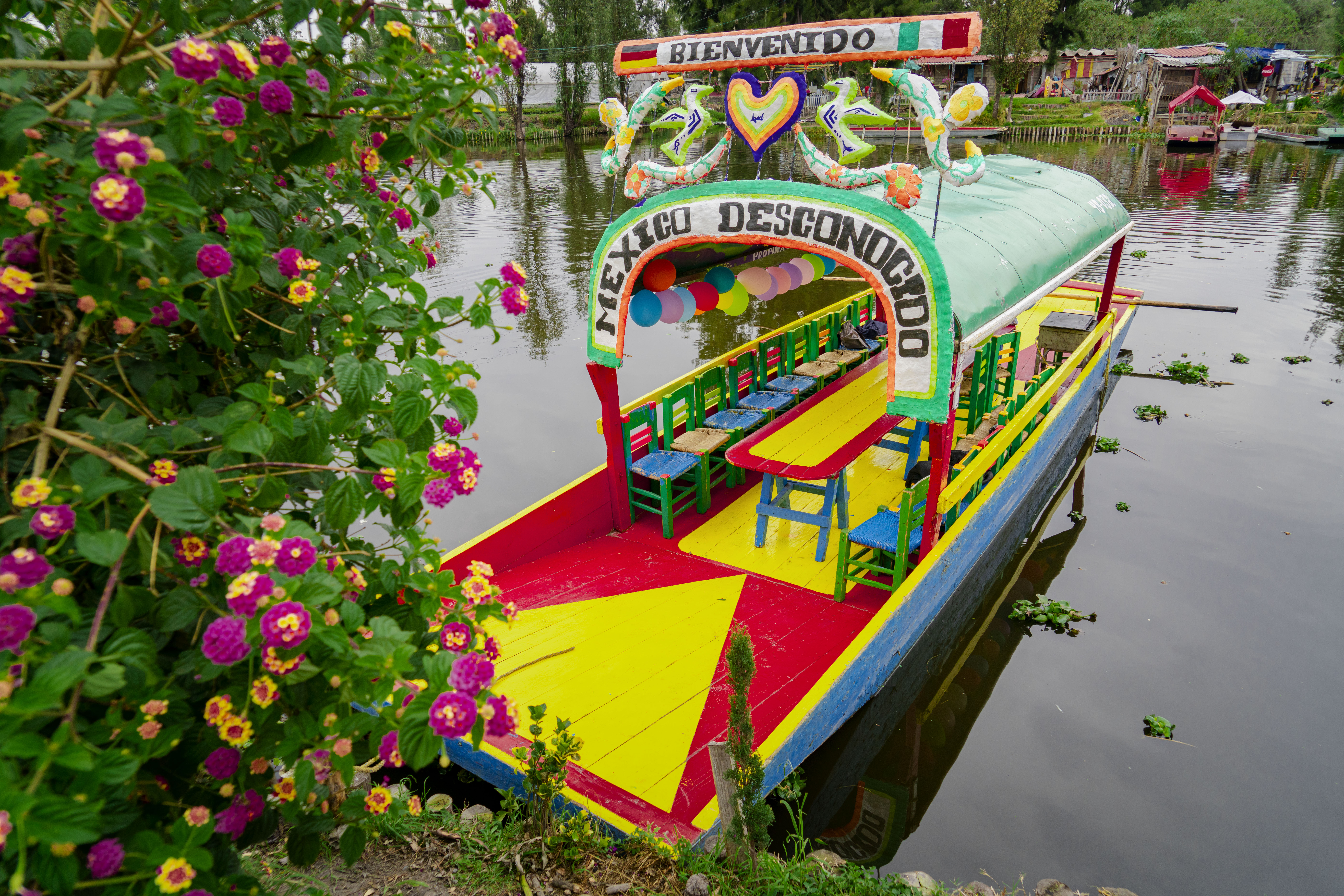 Enamórate de Xochimilco con un tour inolvidable y quesadillas