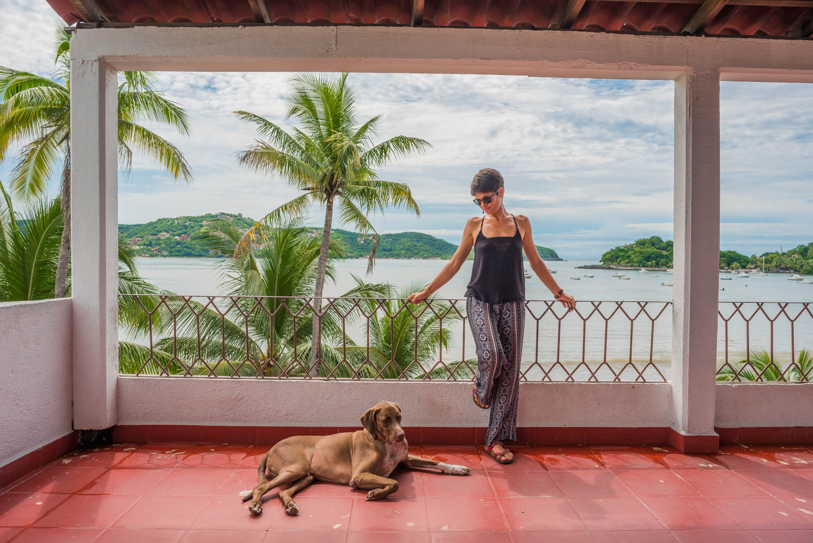 Zihuatanejo pet friendly, todo un destino para nuestros amigos de cuatro  patas - México Desconocido