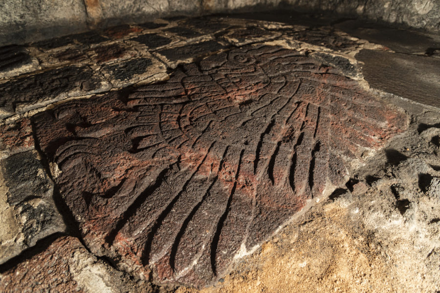 Bajorrelieve de águila real encontrado por el PTM, en 2019.Foto-Mirsa Islas jpg