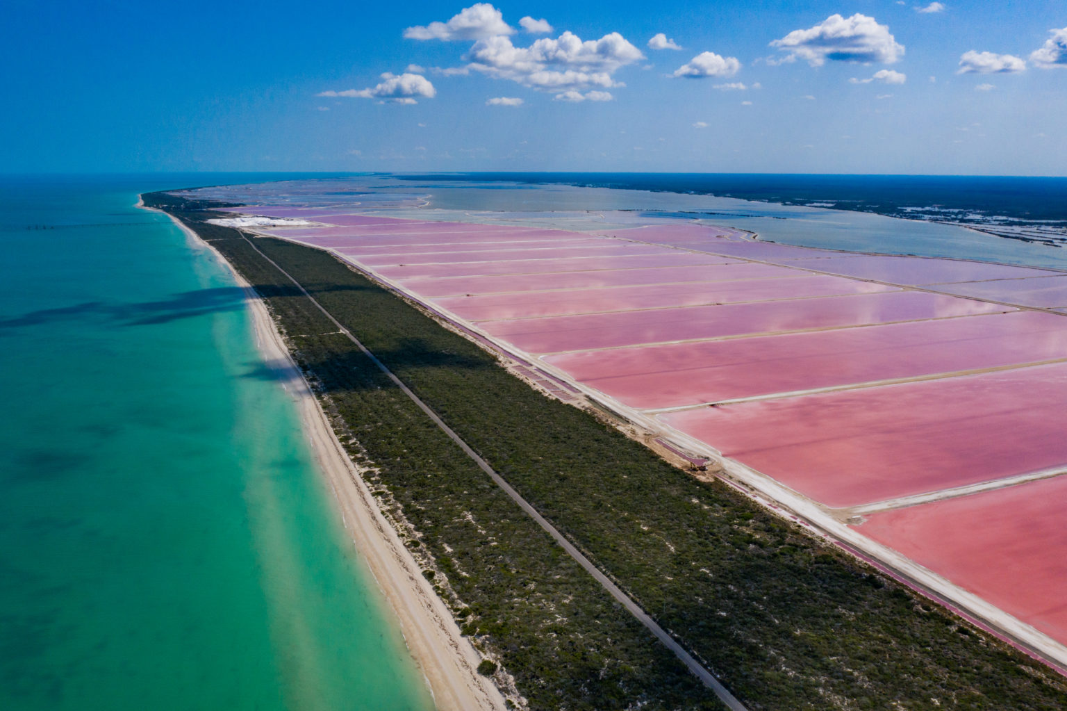 Las Coloradas La única Playa Rosa De México Está En Yucatán México