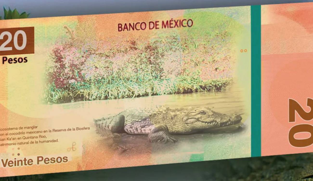 Comenzarán A Circular Los Nuevos Diseños De Los Billetes De 20 Y 50 Pesos Mexicanos México