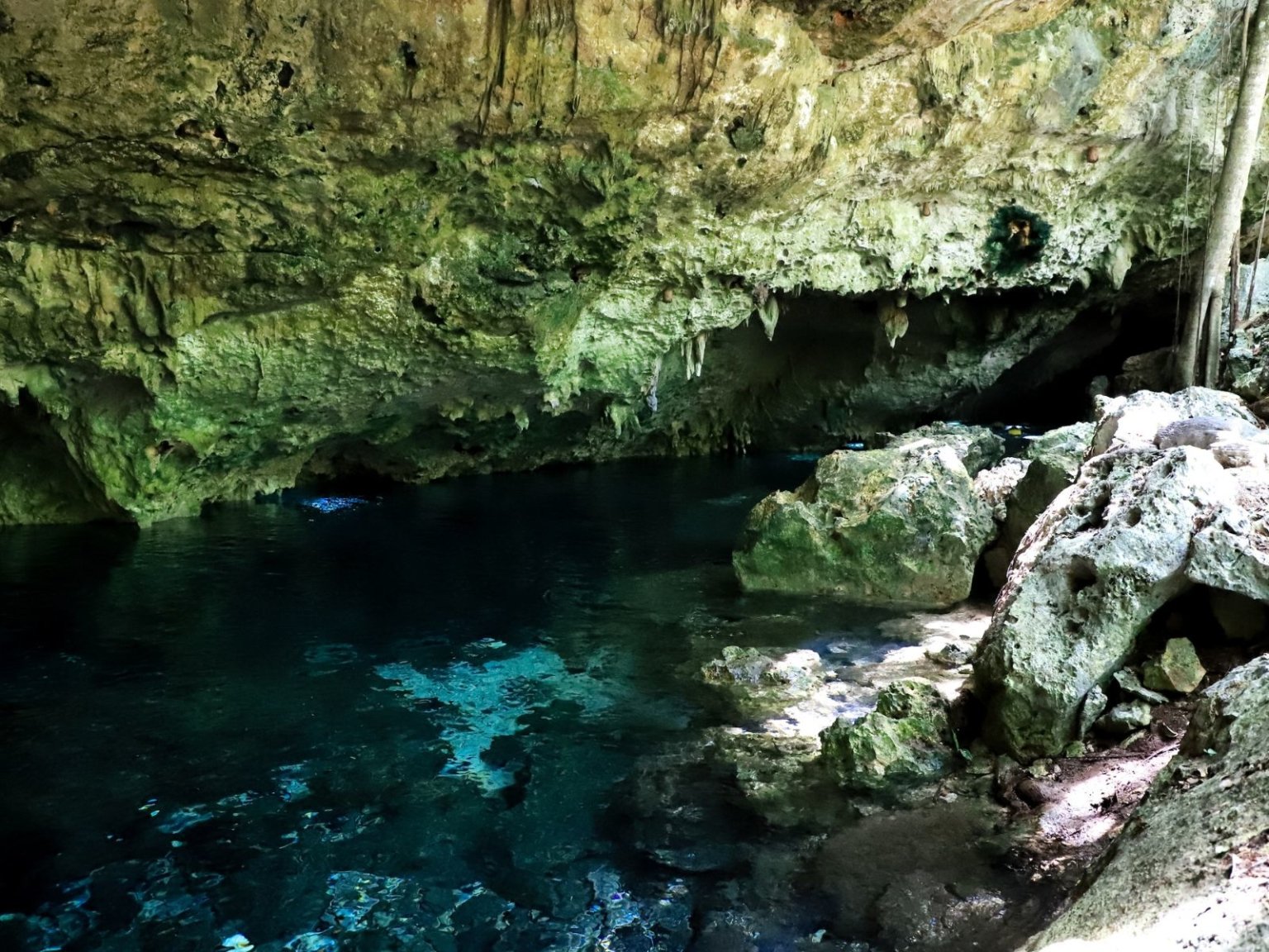 Cenote Dos Ojos, Las Cavernas Gemelas De Tulum - México Desconocido