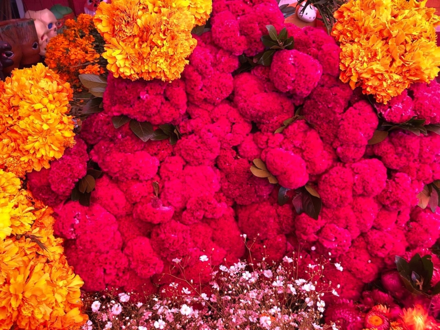 Details 100 flores que se usan en dia de muertos