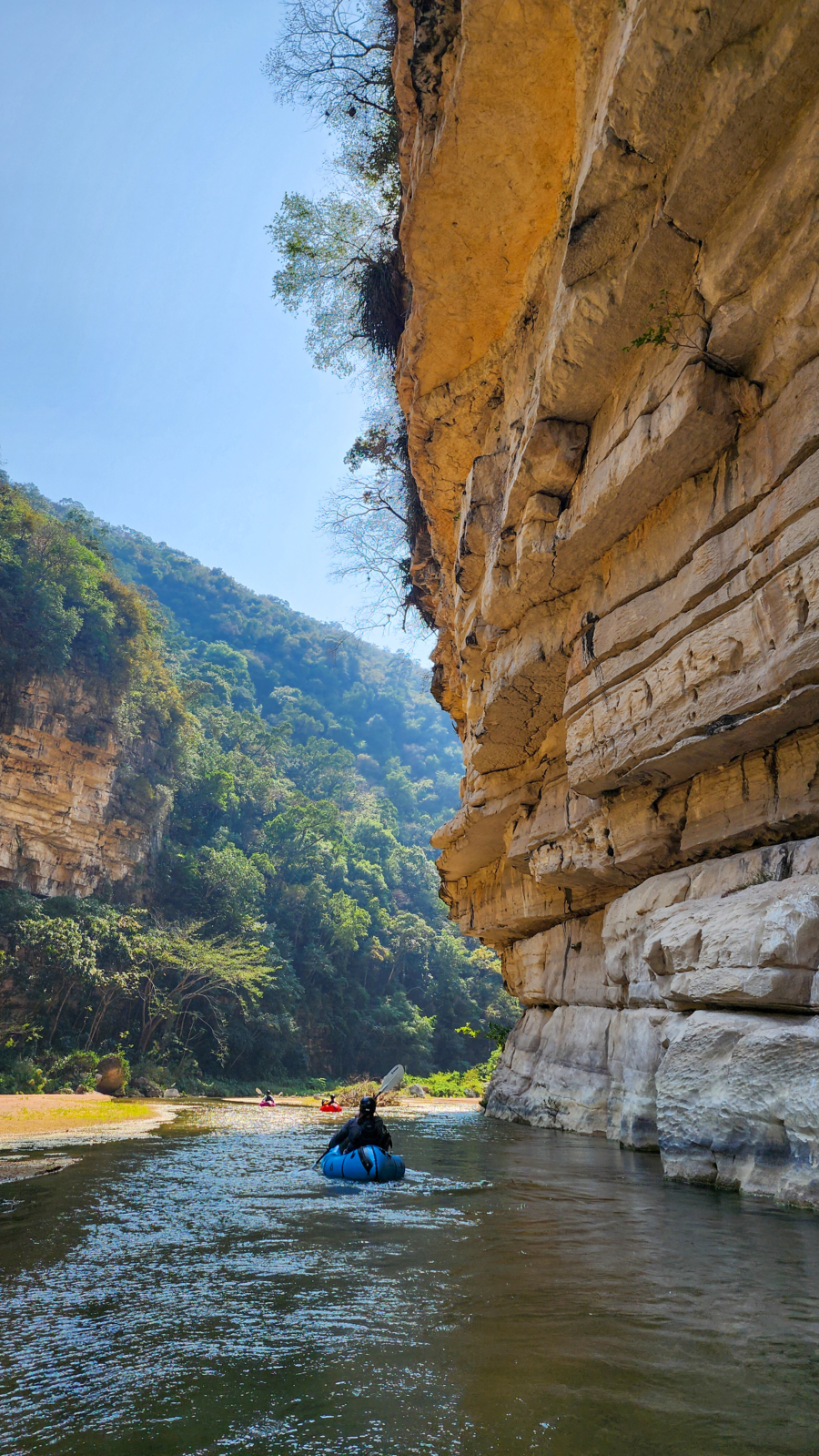 Selva El Ocote, Viaje Al Corazón De La Madre Naturaleza - México 