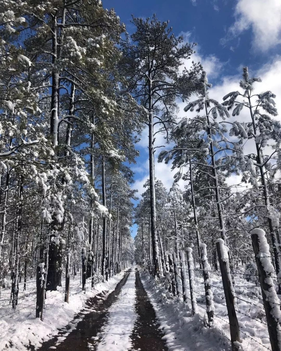 lugares con nieve en México